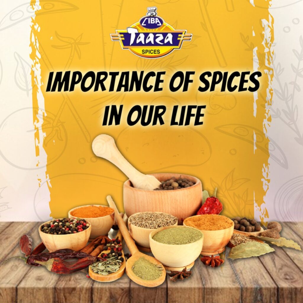 Importance Of Spices In Our Life – Ciba Taaza Spices – Buy Spices Online